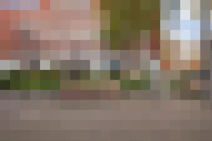 Steentijdsingel 97 Den Haag thumbnail 4