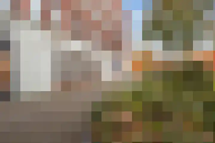 Steentijdsingel 97 Den Haag thumbnail 5