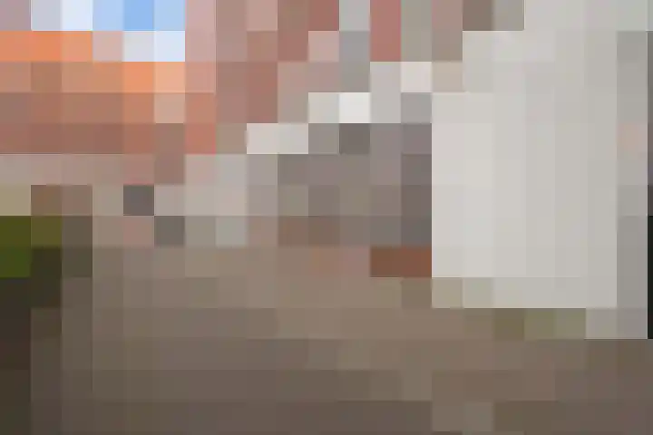 Steentijdsingel 97 Den Haag thumbnail 6