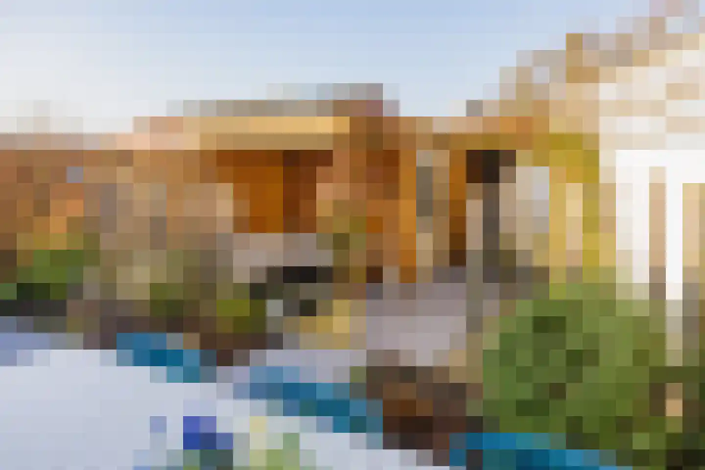 Steentijm 37 IJmuiden thumbnail 26