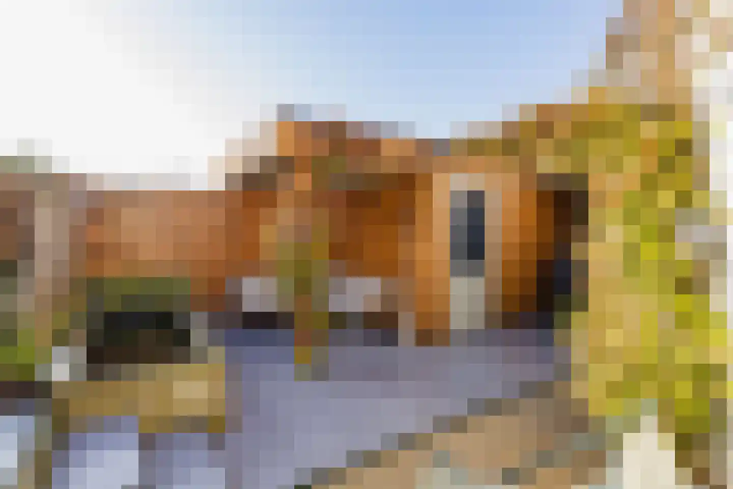 Steentijm 37 IJmuiden thumbnail 28