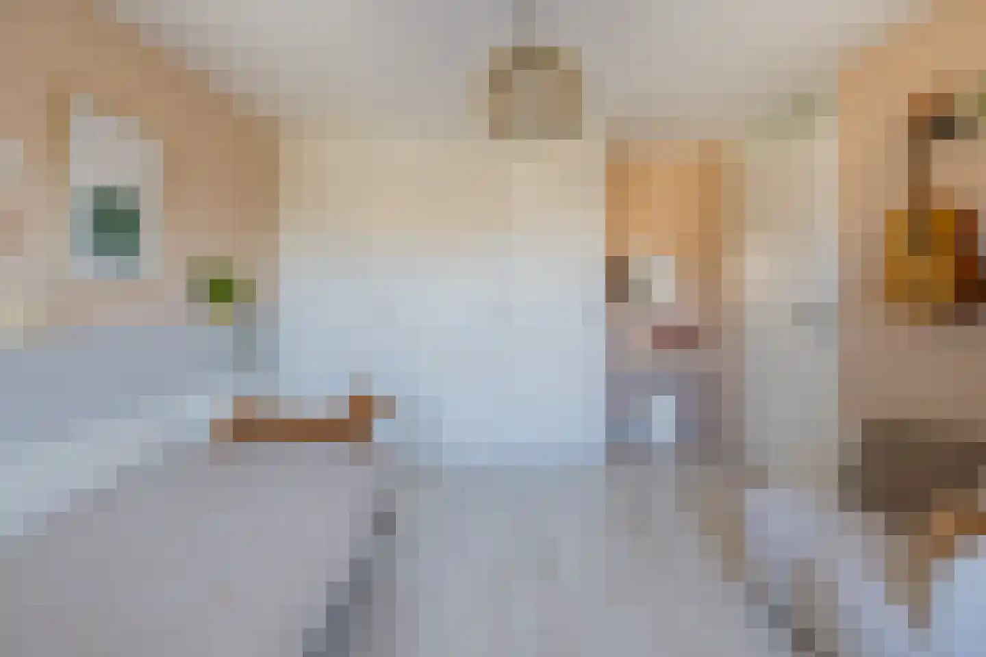 Steentijm 37 IJmuiden thumbnail 36