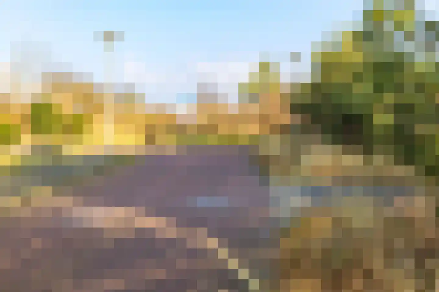 Steentijm 37 IJmuiden thumbnail 60