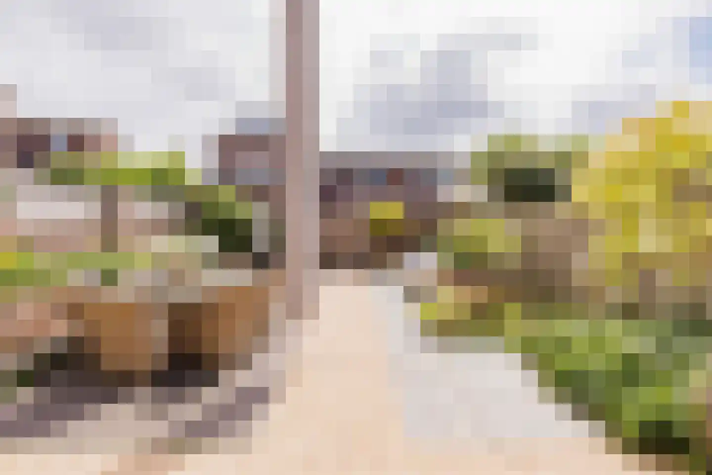 Steentijm 38 IJmuiden thumbnail 14