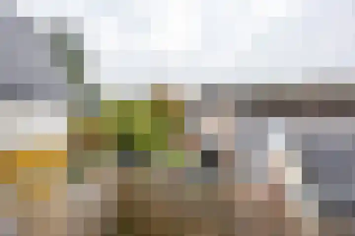Steentilkade 10 b Groningen thumbnail 21