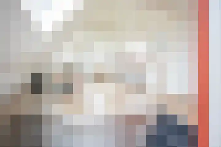 Steentilkade 10 b Groningen thumbnail 5