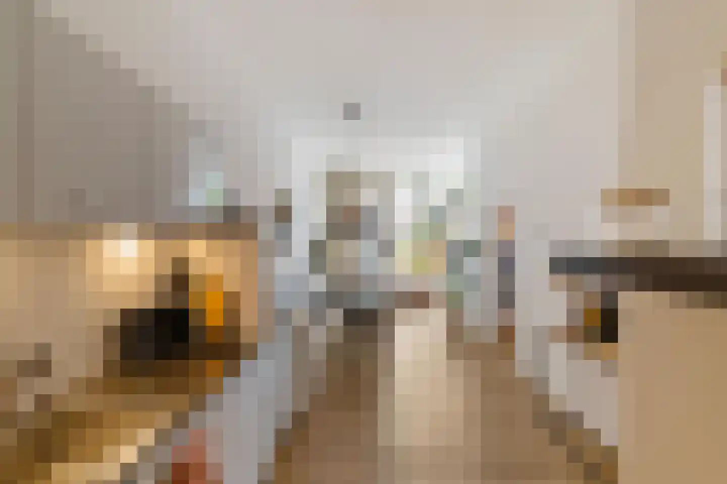 Steentilstraat 21 b Groningen thumbnail 10