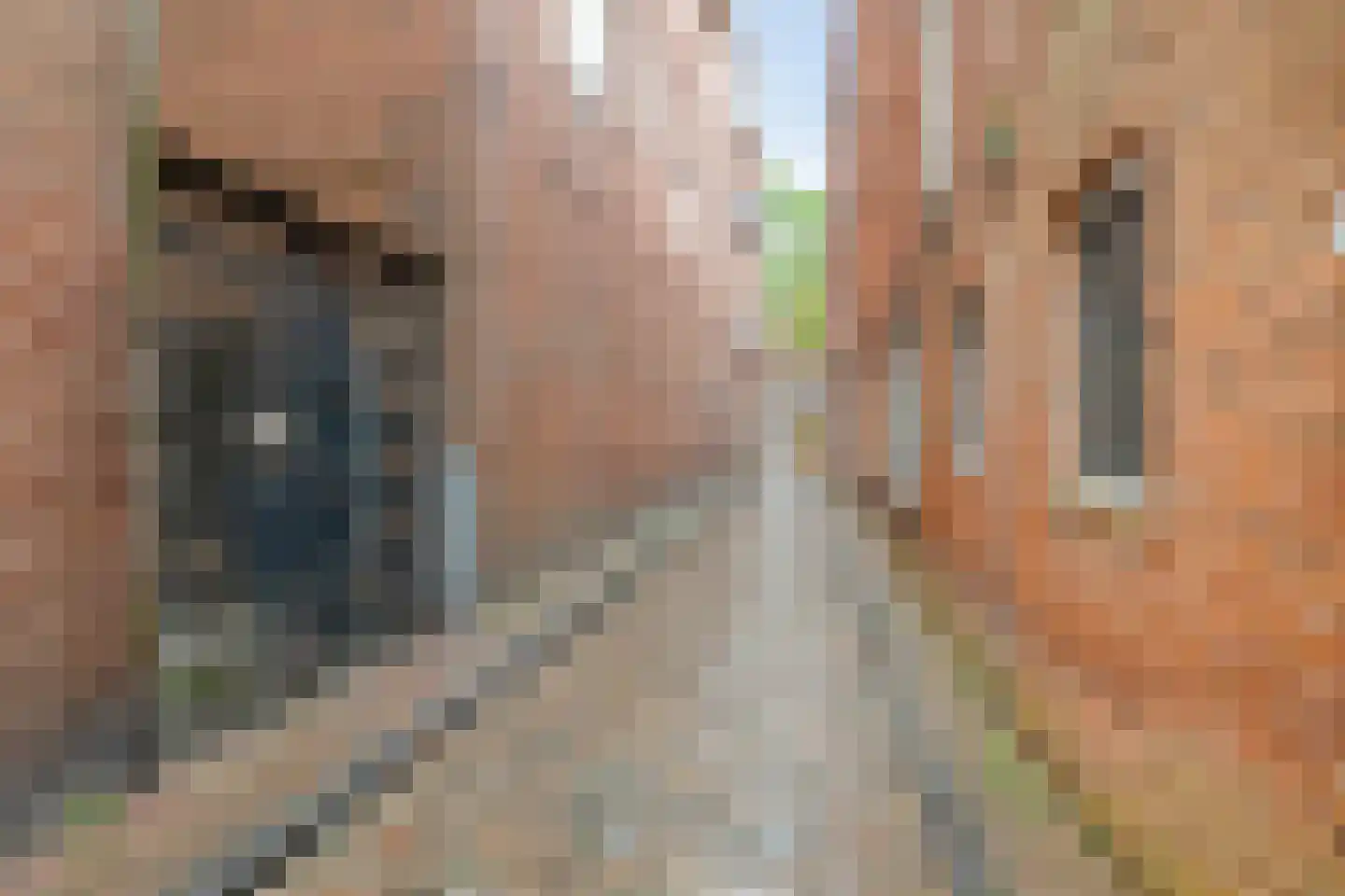 Steentilstraat 21 b Groningen thumbnail 35