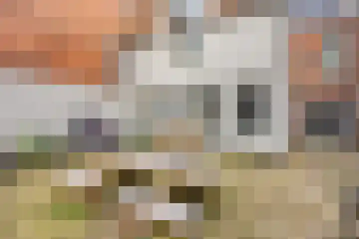Steentilstraat 29 Groningen thumbnail 22