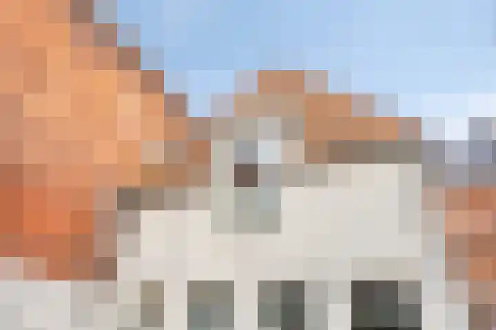 Steentilstraat 29 Groningen thumbnail 23