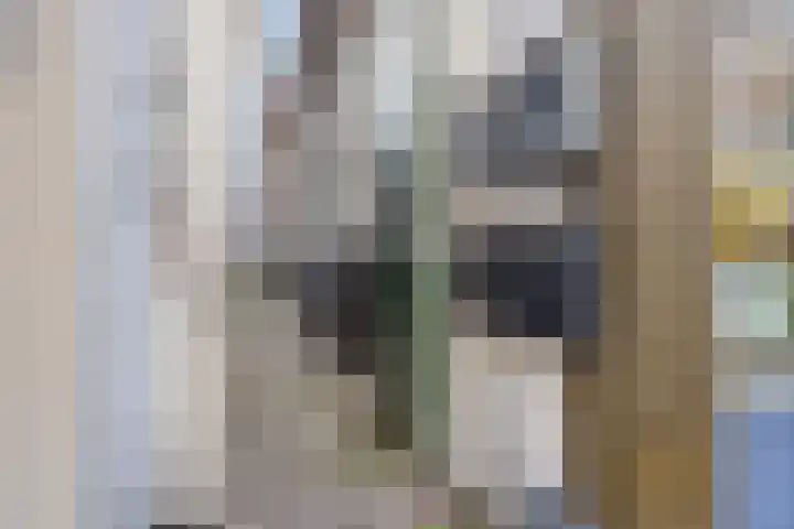 Steentilstraat 29 Groningen thumbnail 4