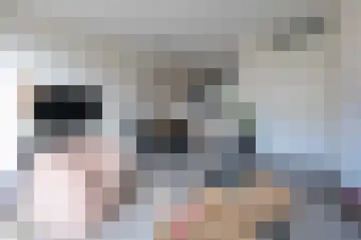 Steenuil 12 Bosschenhoofd thumbnail 10