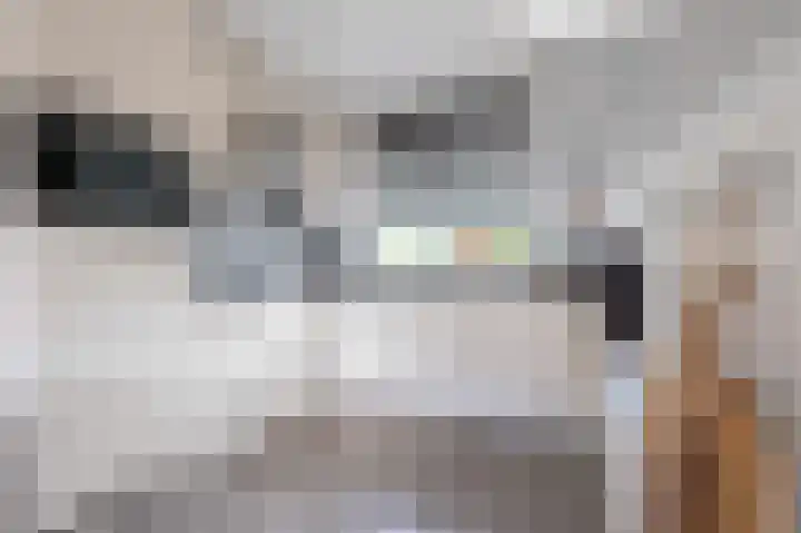 Steenuil 12 Bosschenhoofd thumbnail 14