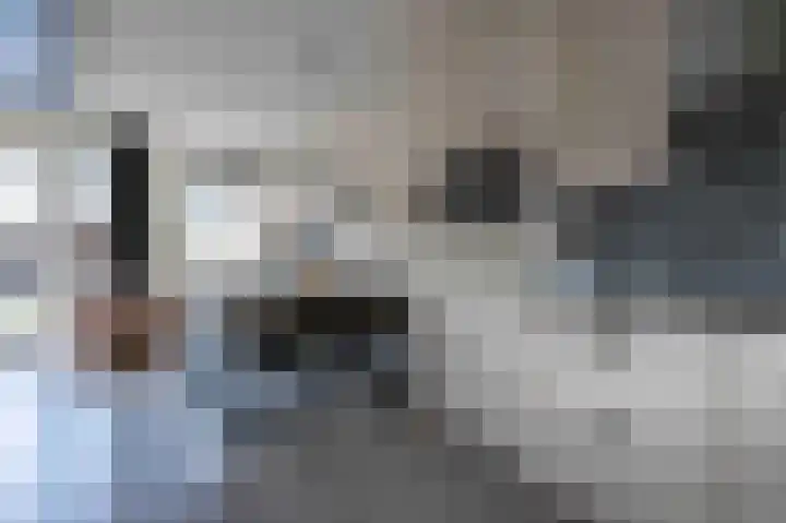 Steenuil 12 Bosschenhoofd thumbnail 15