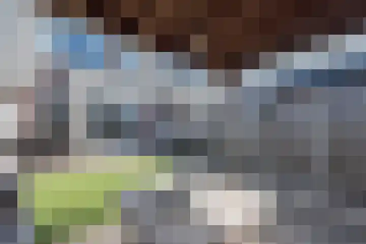 Steenuil 12 Bosschenhoofd thumbnail 21