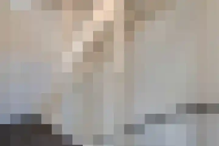 Steenuil 12 Bosschenhoofd thumbnail 22