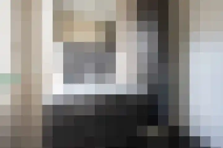 Steenuil 12 Bosschenhoofd thumbnail 27