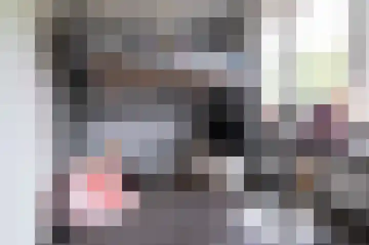Steenuil 12 Bosschenhoofd thumbnail 30