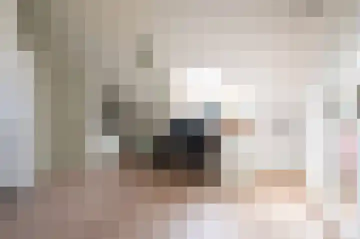 Steenuil 12 Bosschenhoofd thumbnail 33