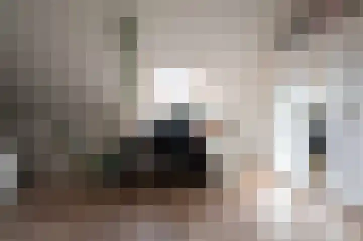Steenuil 12 Bosschenhoofd thumbnail 35