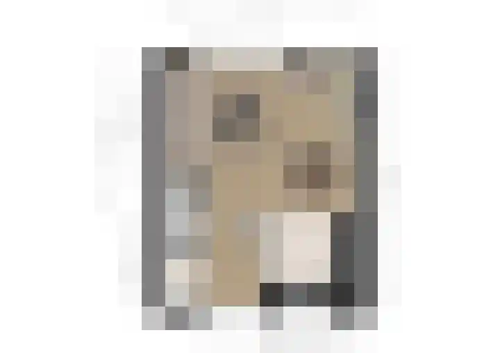 Steenuil 12 Bosschenhoofd thumbnail 36