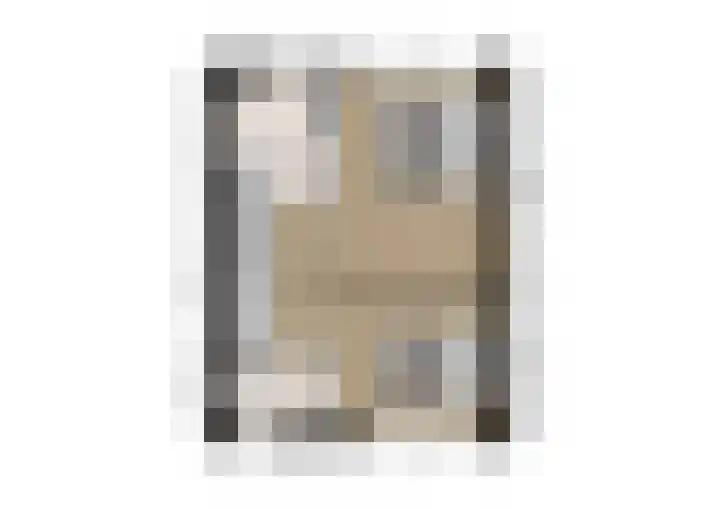 Steenuil 12 Bosschenhoofd thumbnail 37