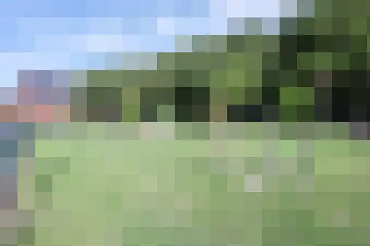 Steenuil 12 Bosschenhoofd thumbnail 4