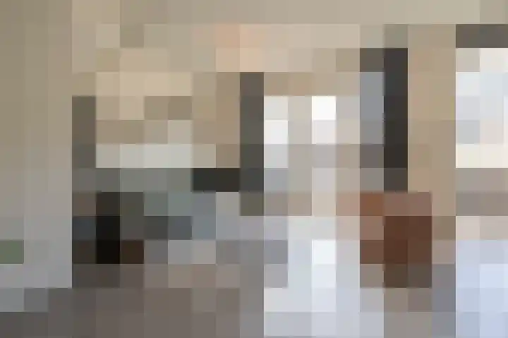 Steenuil 12 Bosschenhoofd thumbnail 8