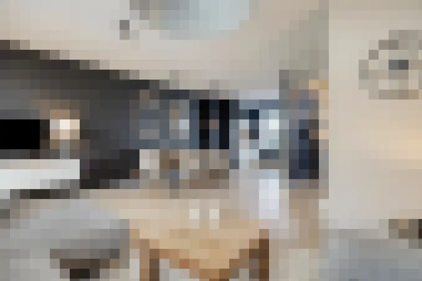 Steenuil 14 Mierlo thumbnail 10