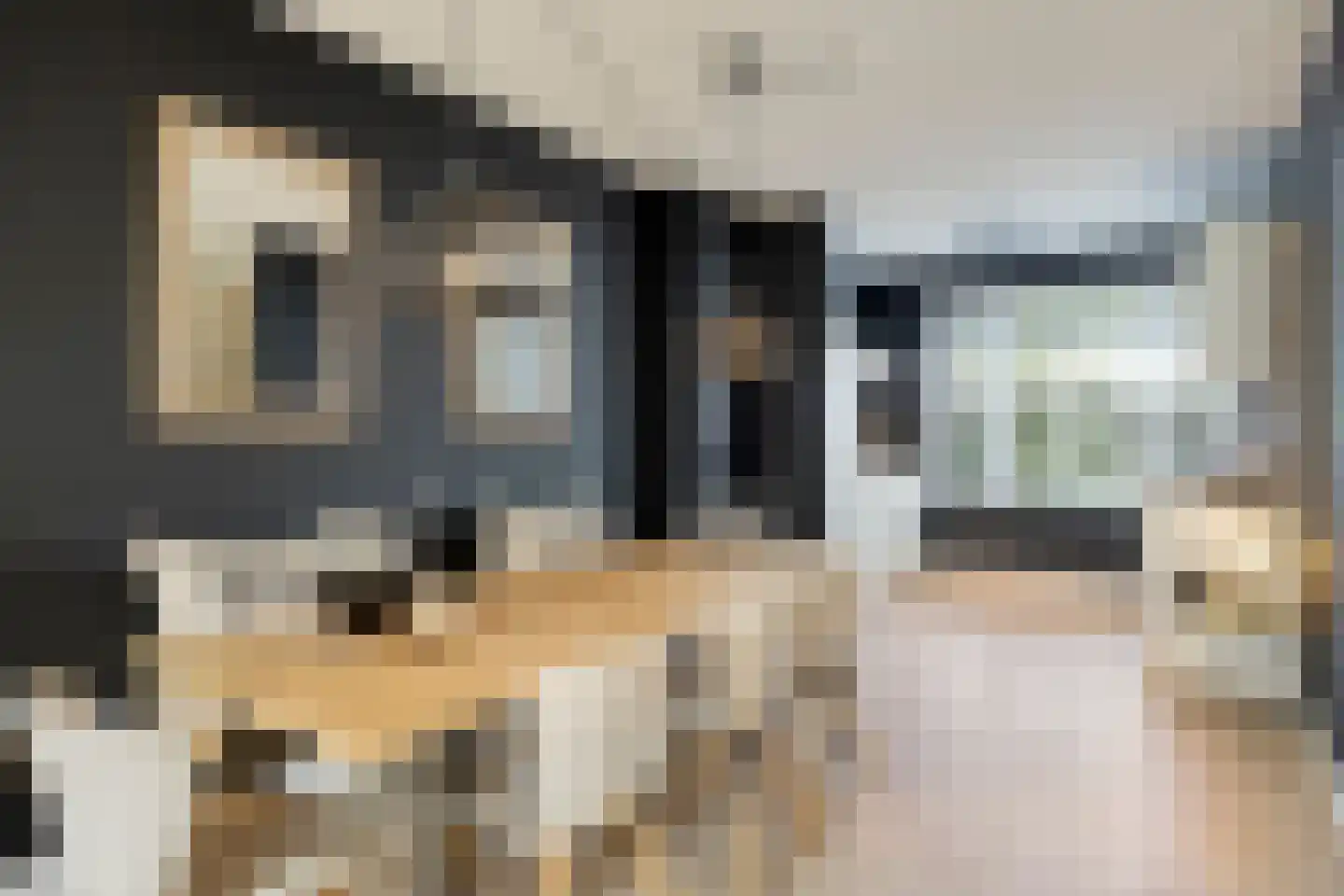 Steenuil 14 Mierlo thumbnail 12