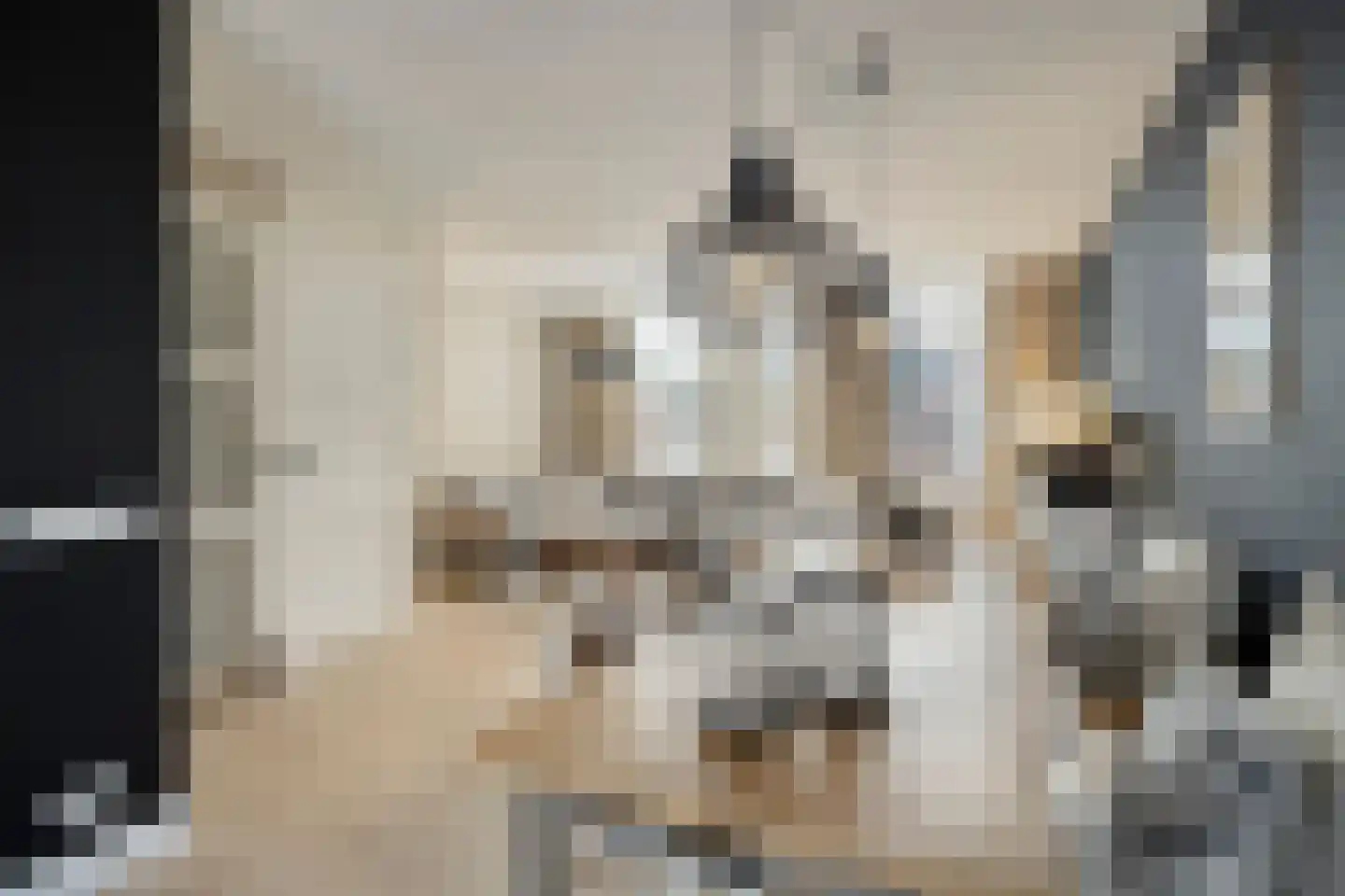 Steenuil 14 Mierlo thumbnail 13