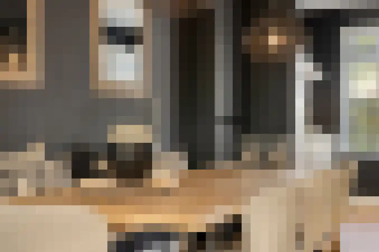 Steenuil 14 Mierlo thumbnail 14