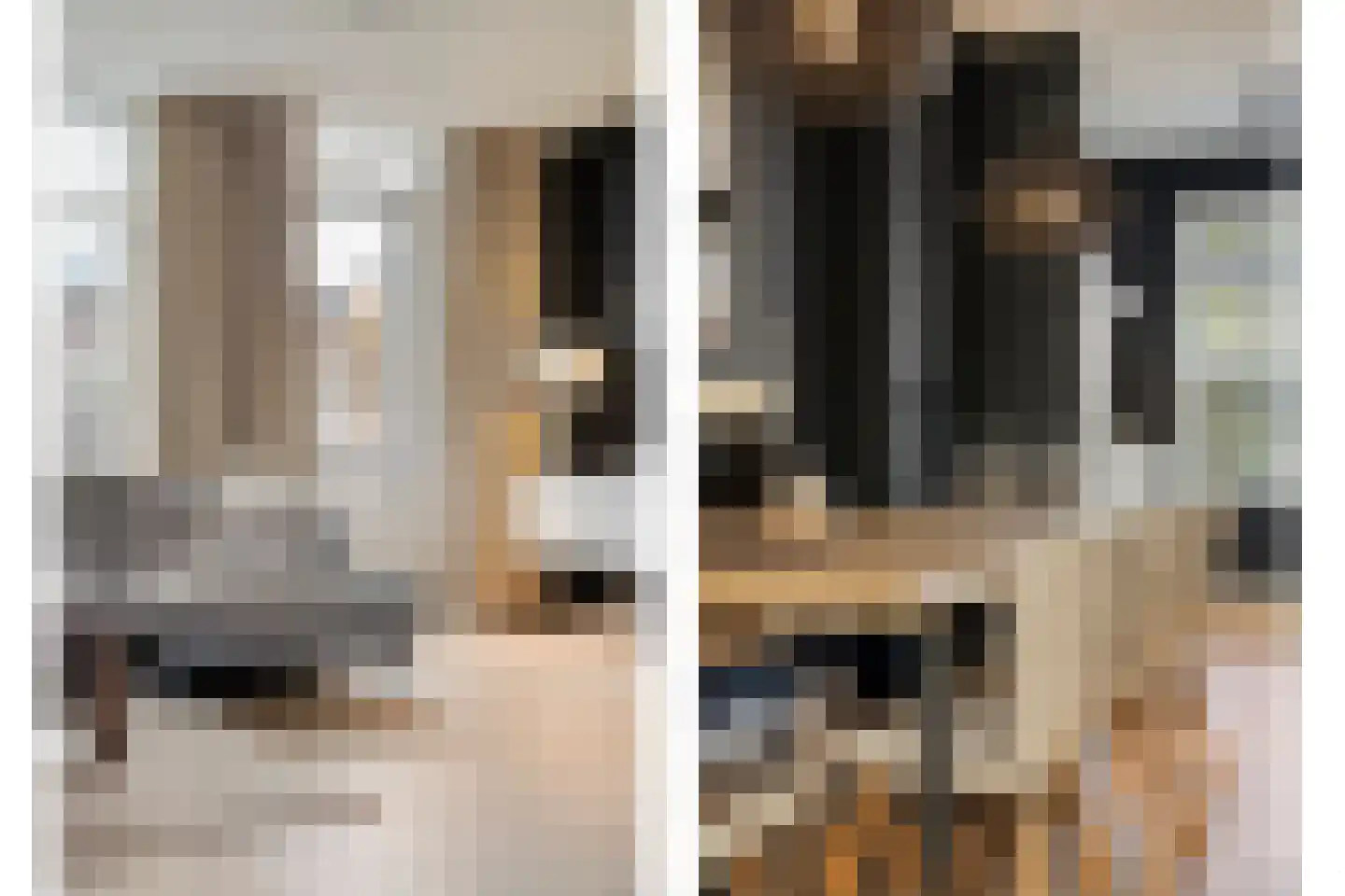 Steenuil 14 Mierlo thumbnail 15
