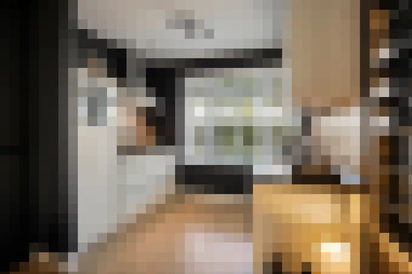 Steenuil 14 Mierlo thumbnail 16