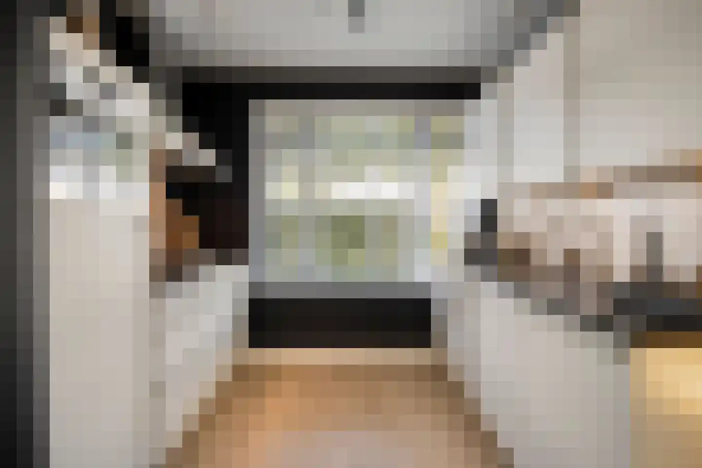 Steenuil 14 Mierlo thumbnail 17