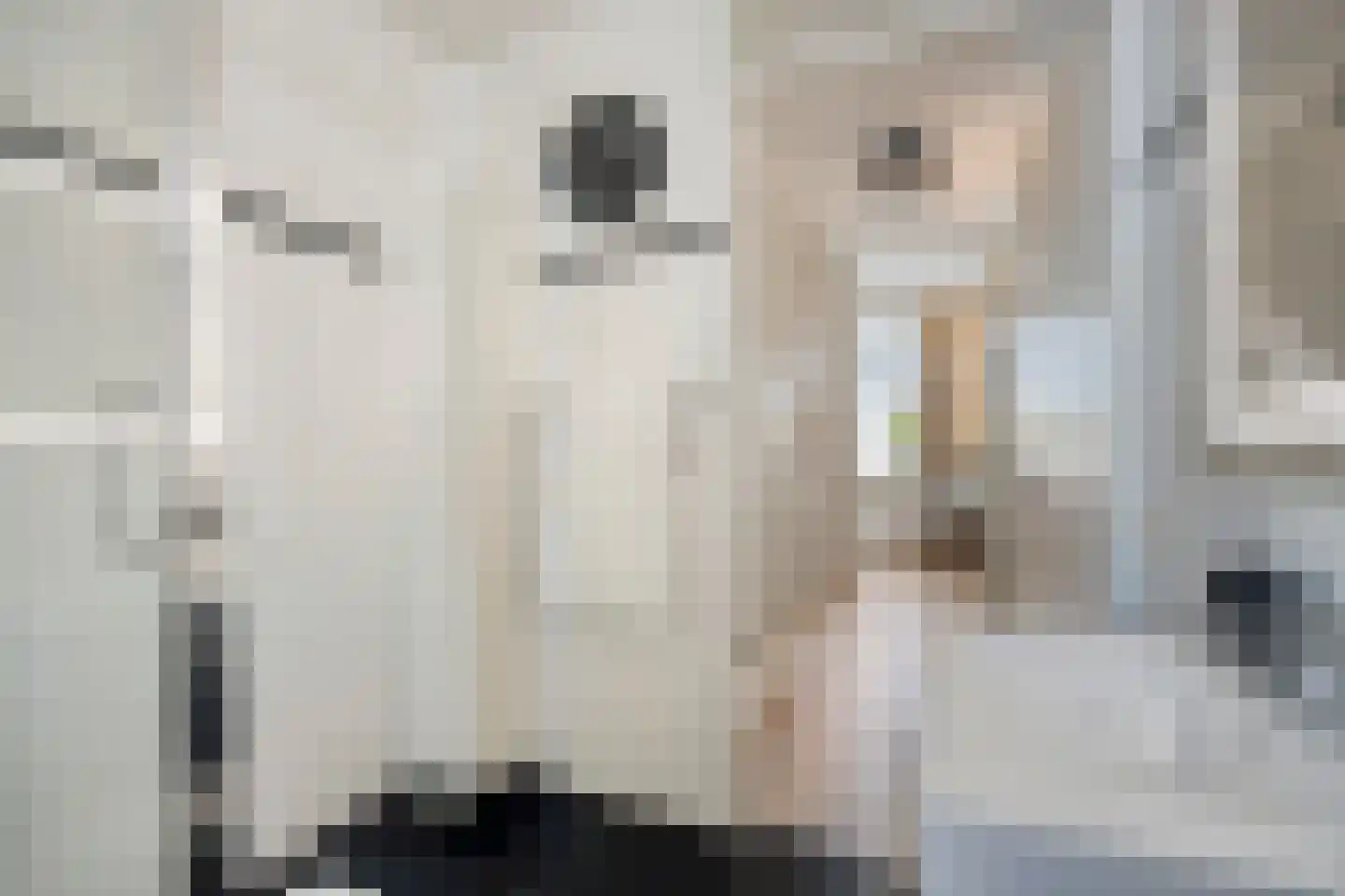 Steenuil 14 Mierlo thumbnail 24