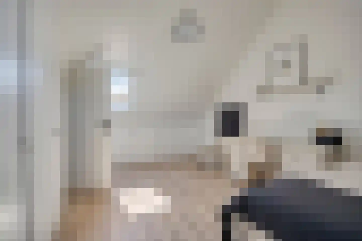 Steenuil 14 Mierlo thumbnail 27