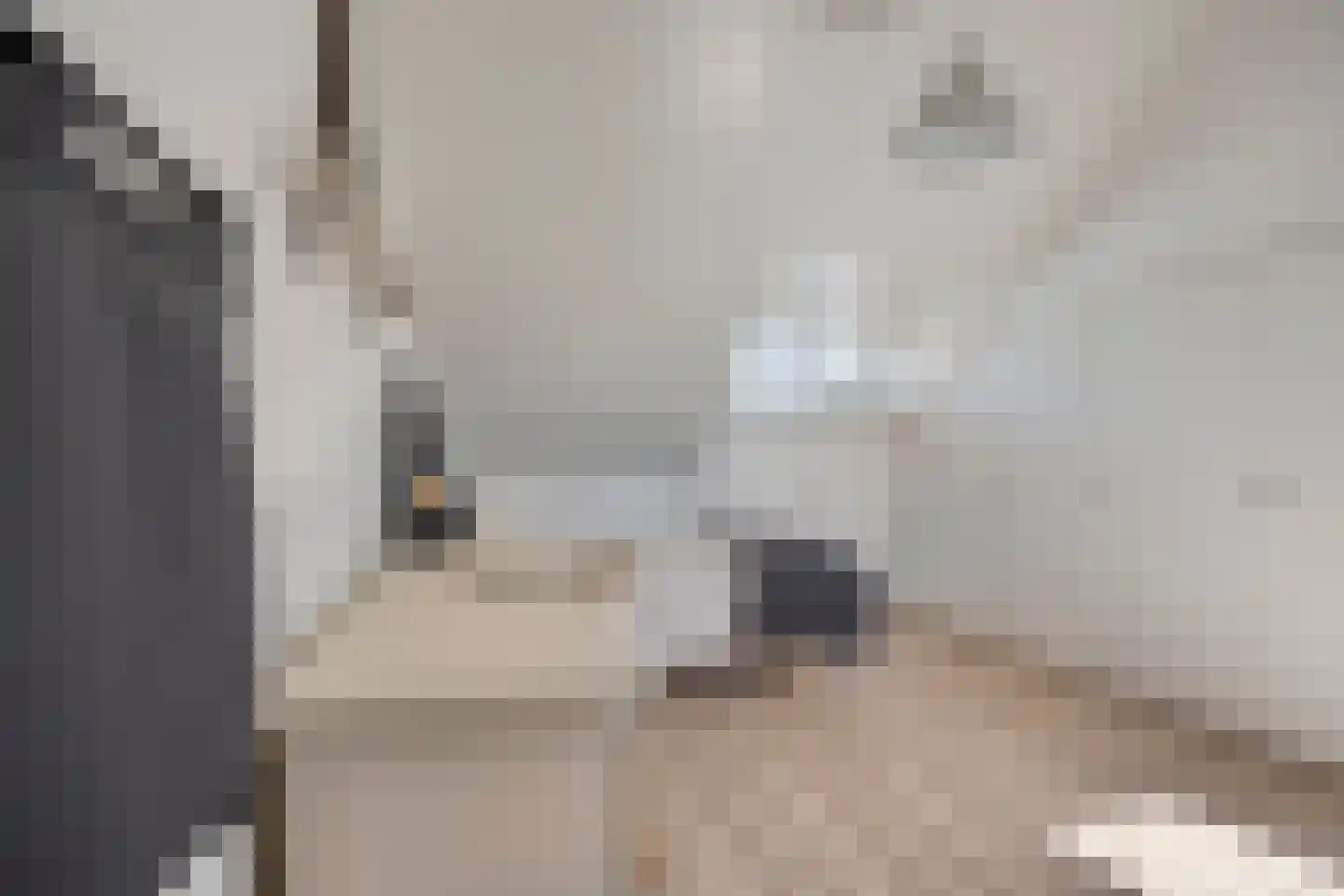 Steenuil 14 Mierlo thumbnail 28