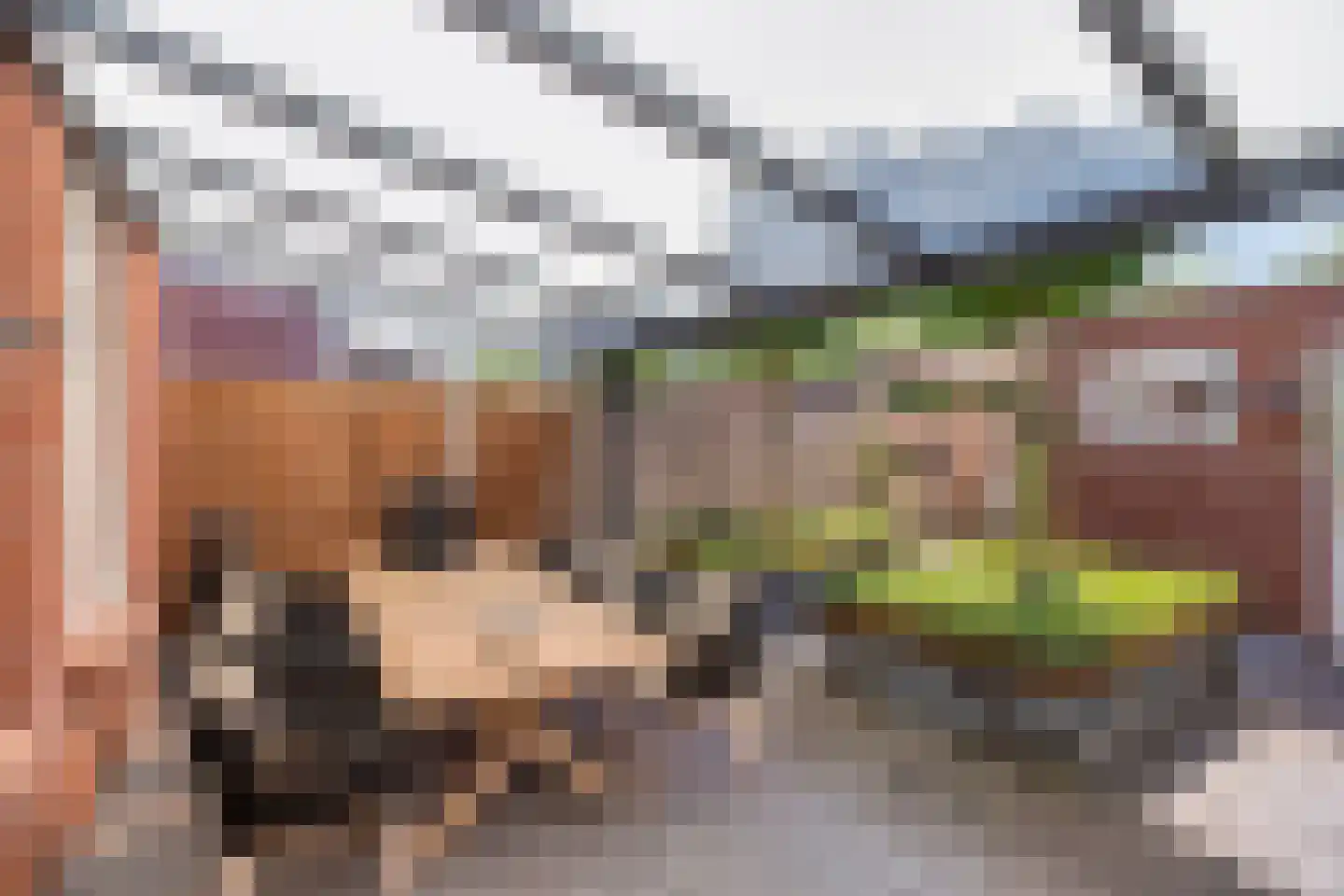Steenuil 14 Mierlo thumbnail 30