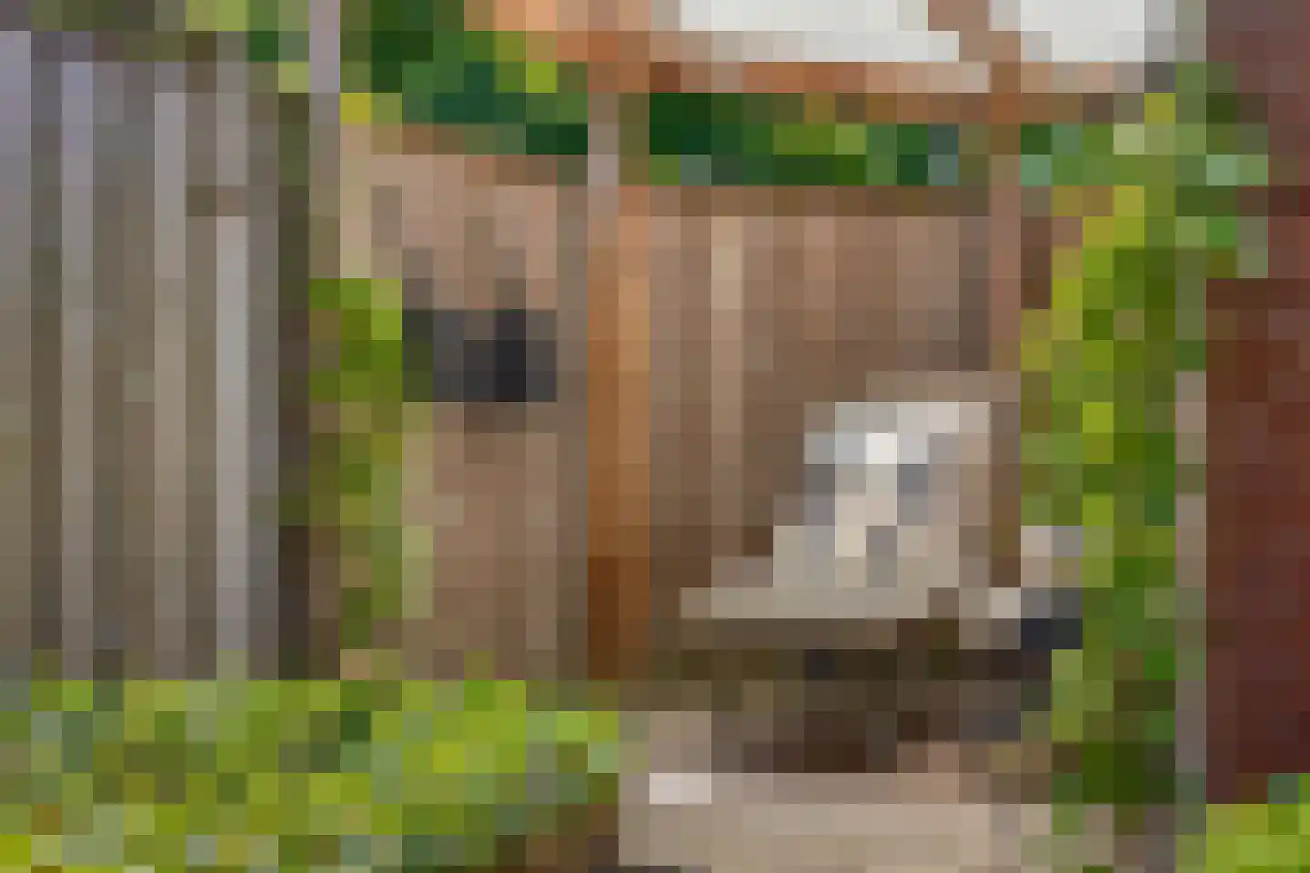 Steenuil 14 Mierlo thumbnail 32