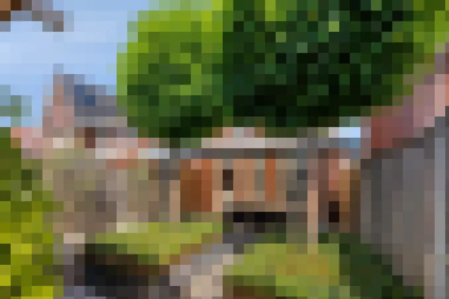 Steenuil 14 Mierlo thumbnail 33