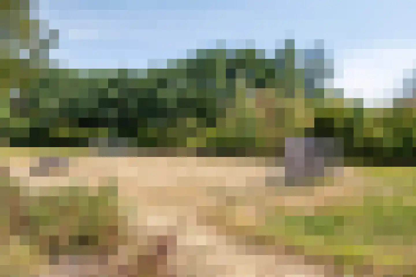 Steenuil 14 Mierlo thumbnail 37