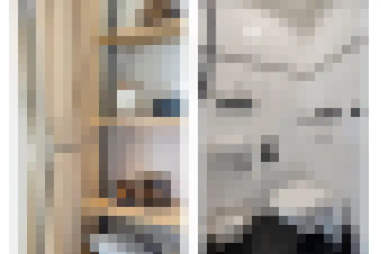 Steenuil 14 Mierlo thumbnail 6