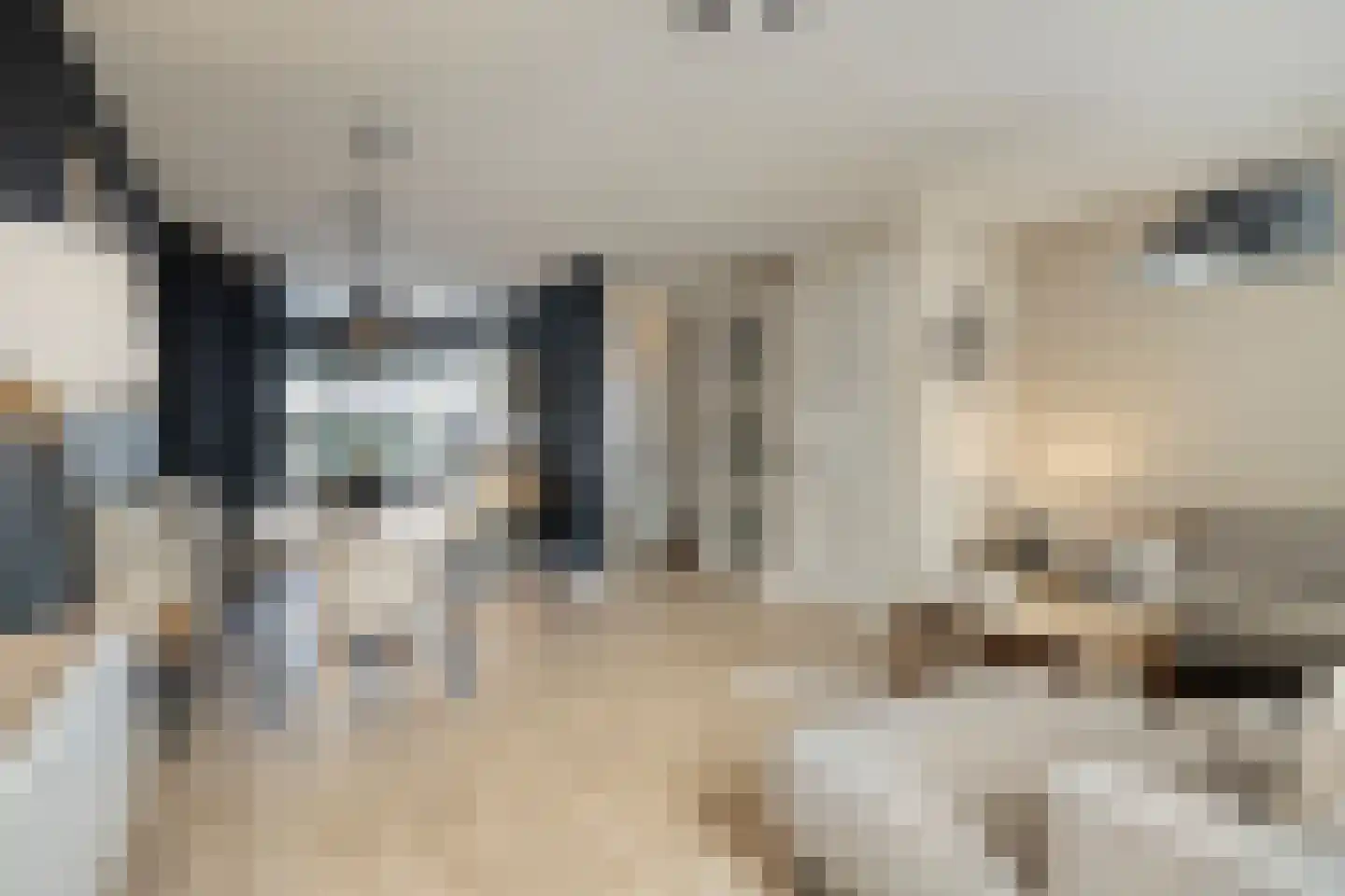Steenuil 14 Mierlo thumbnail 9