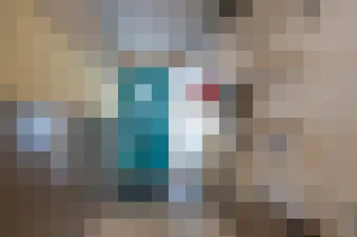 Steenuil 19 Emmen thumbnail 17