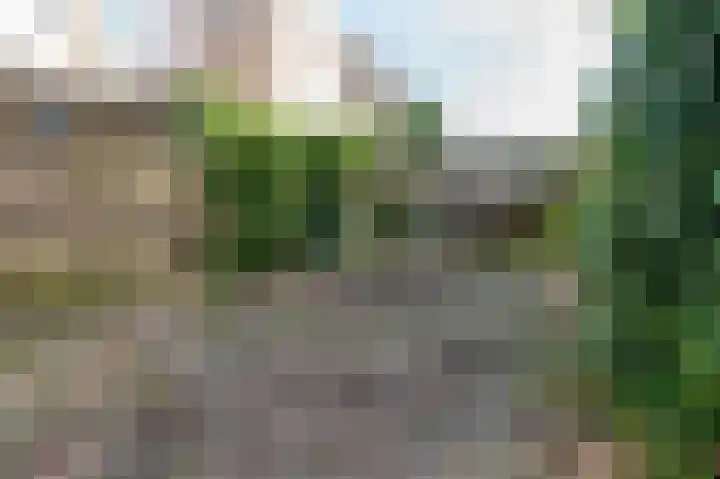 Steenuil 19 Emmen thumbnail 18