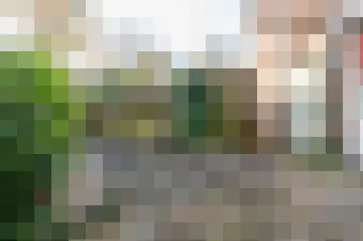 Steenuil 19 Emmen thumbnail 19