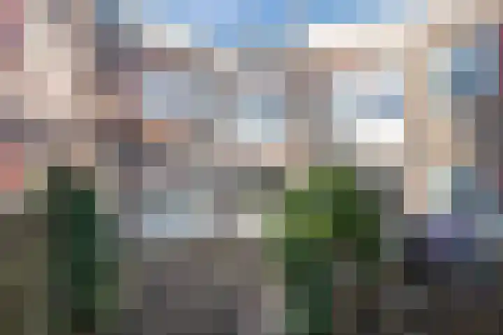 Steenuil 19 Emmen thumbnail 20