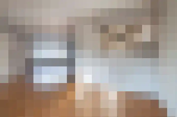 Steenuil 19 Emmen thumbnail 5