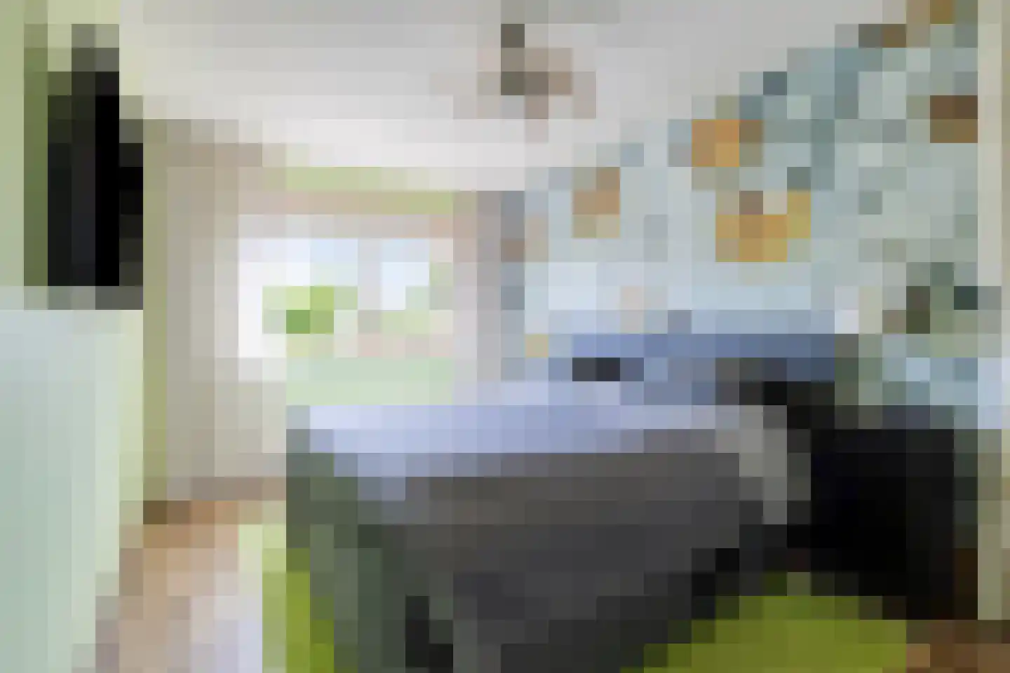 Steenuil 23 Heerhugowaard thumbnail 20